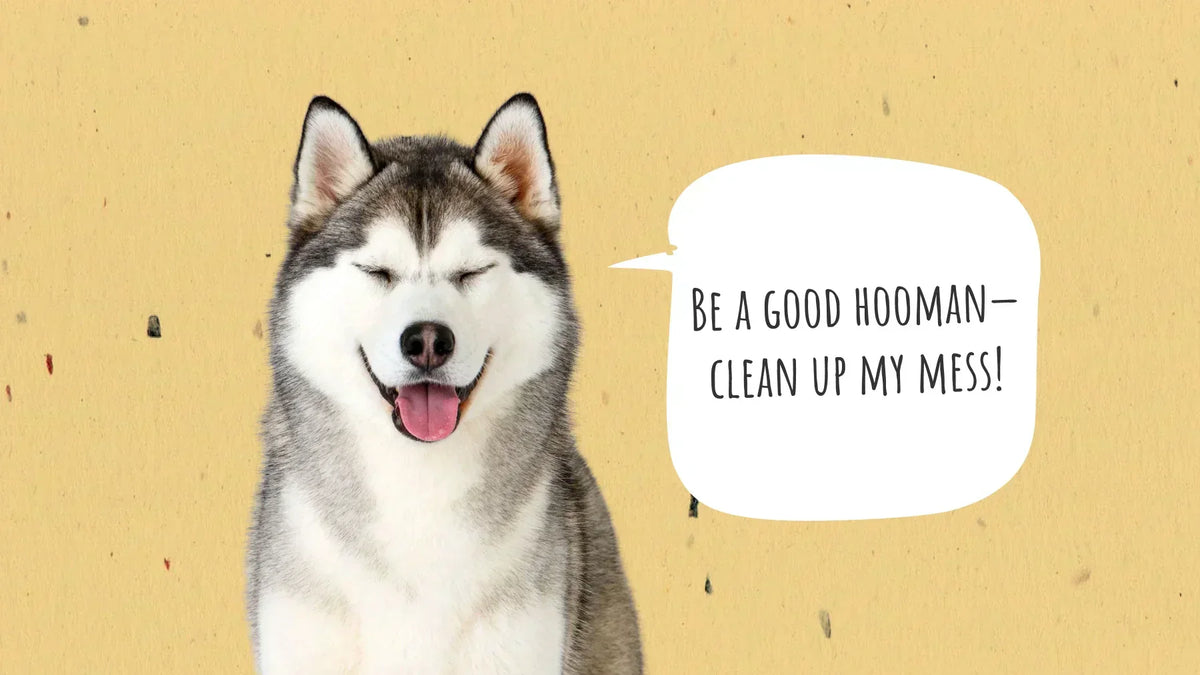 The Best Way to Dispose of Dog Poop