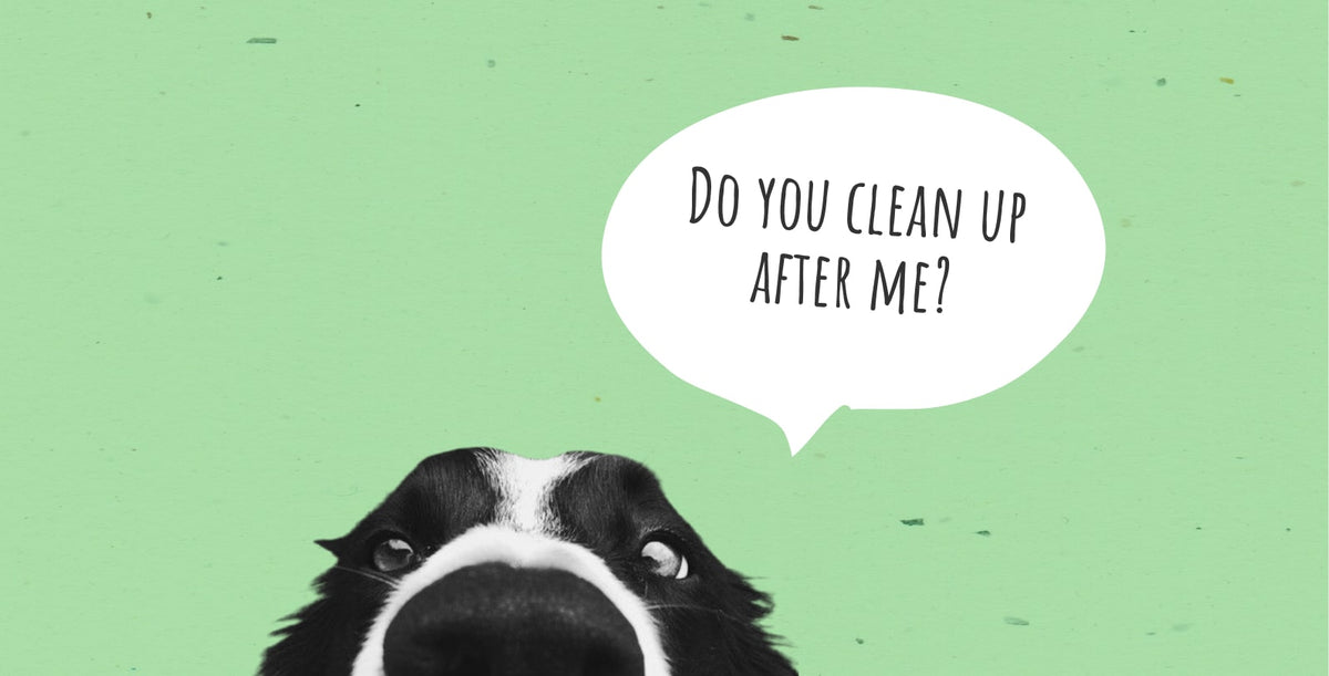 Dog Poop Clean-Up: 11 Tips to Make Your Life Easier