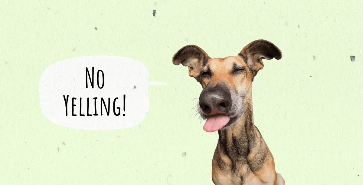 Why You Should Never Yell At Your Dog