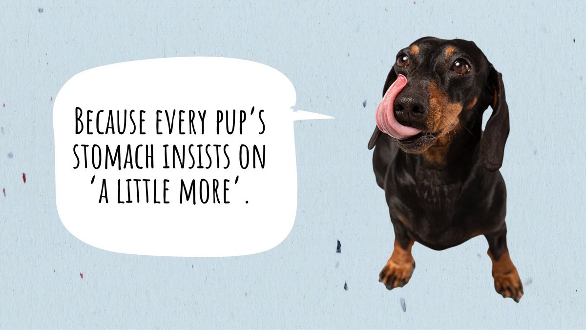 How Much Food Does Your Dog Need? (+ Feeding Chart by Weight)