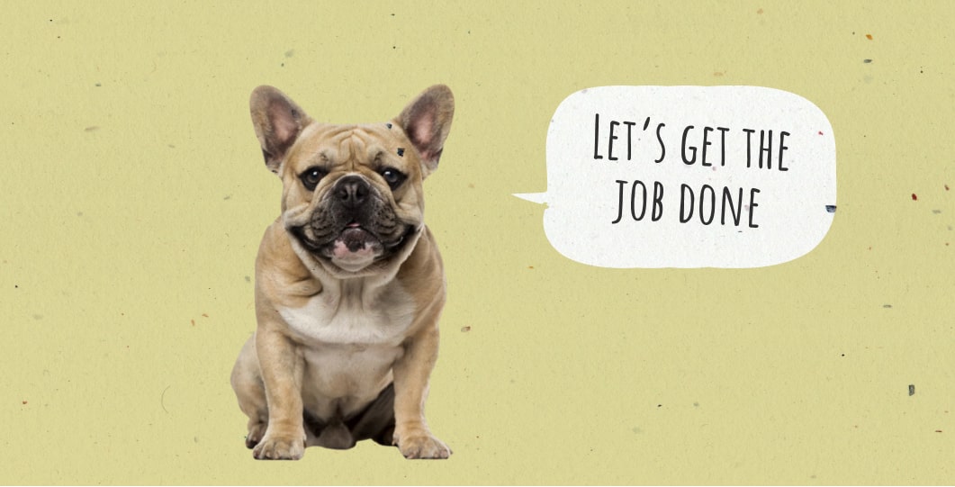 Picking Up Dog Poop: All Your Questions Answered