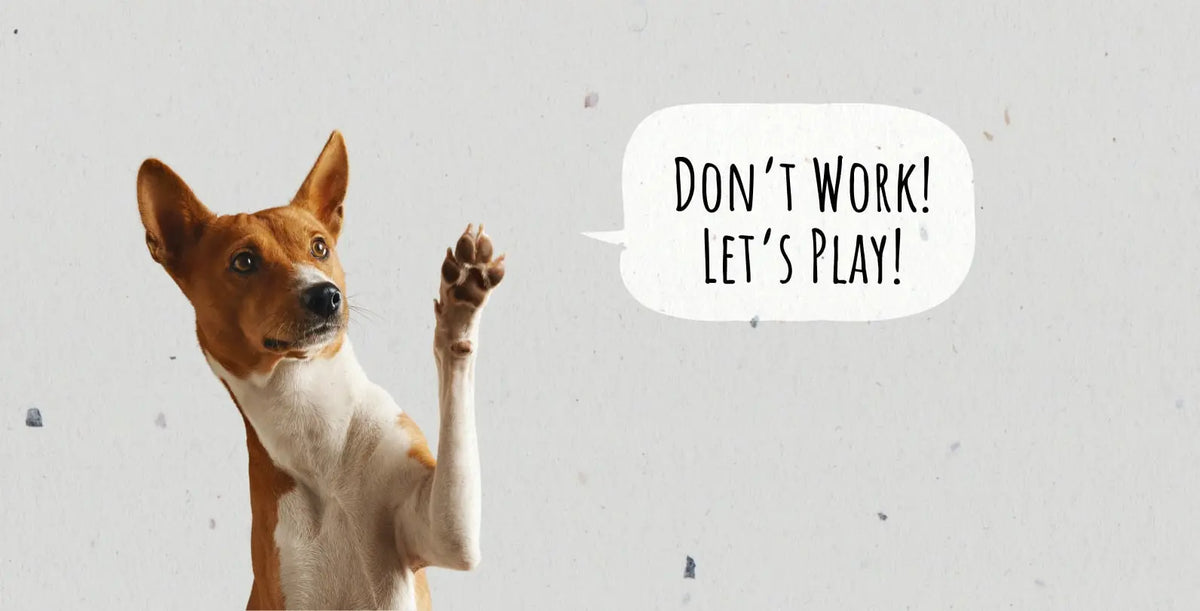6 Productivity Tips for Dog Owners Working From Home