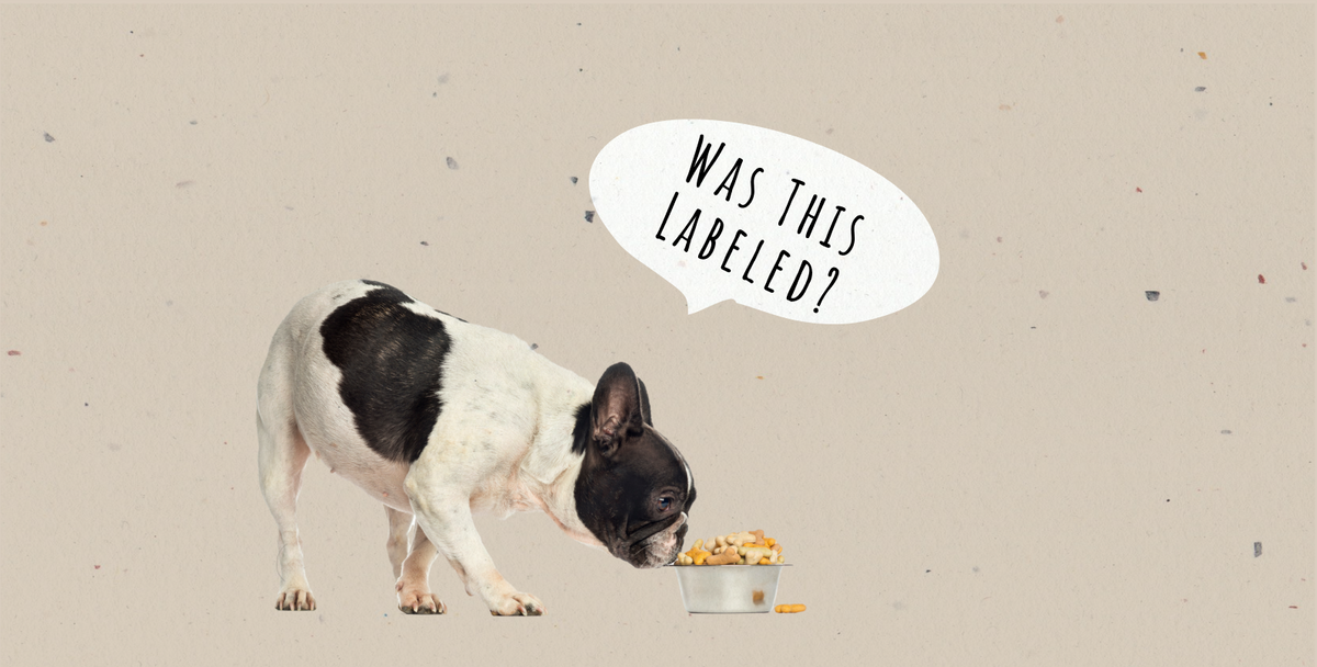 Decoding Dog Food Labels: A Guide for Pet Owners