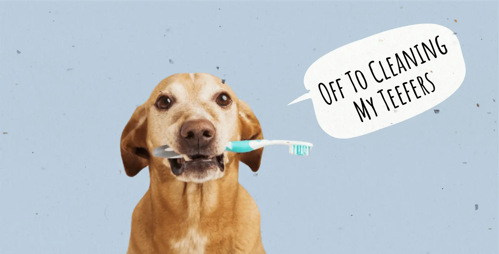 How to Keep Your Dog Teeth Clean: Unleash the Smile