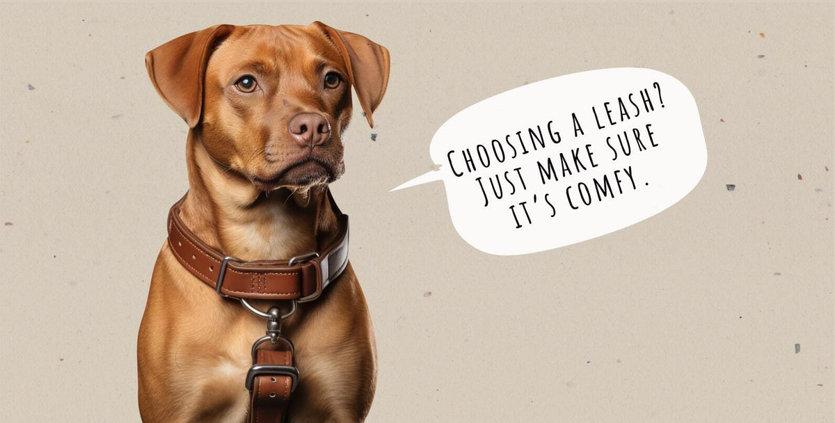 Types of Dog Leashes: Pros and Cons for Choosing the Best